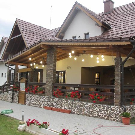 Nut House Retezat Ξενοδοχείο Nucsoara  Εξωτερικό φωτογραφία