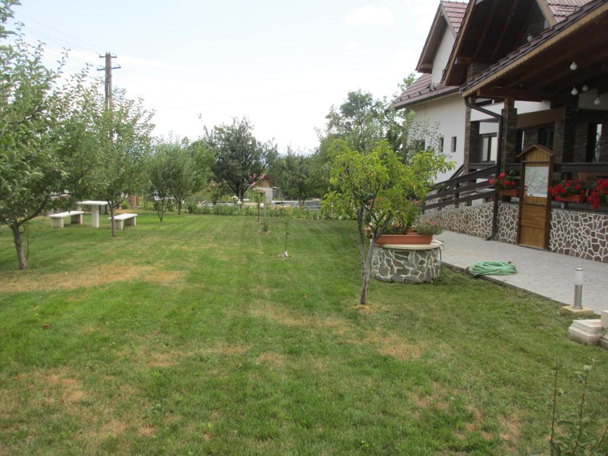 Nut House Retezat Ξενοδοχείο Nucsoara  Εξωτερικό φωτογραφία