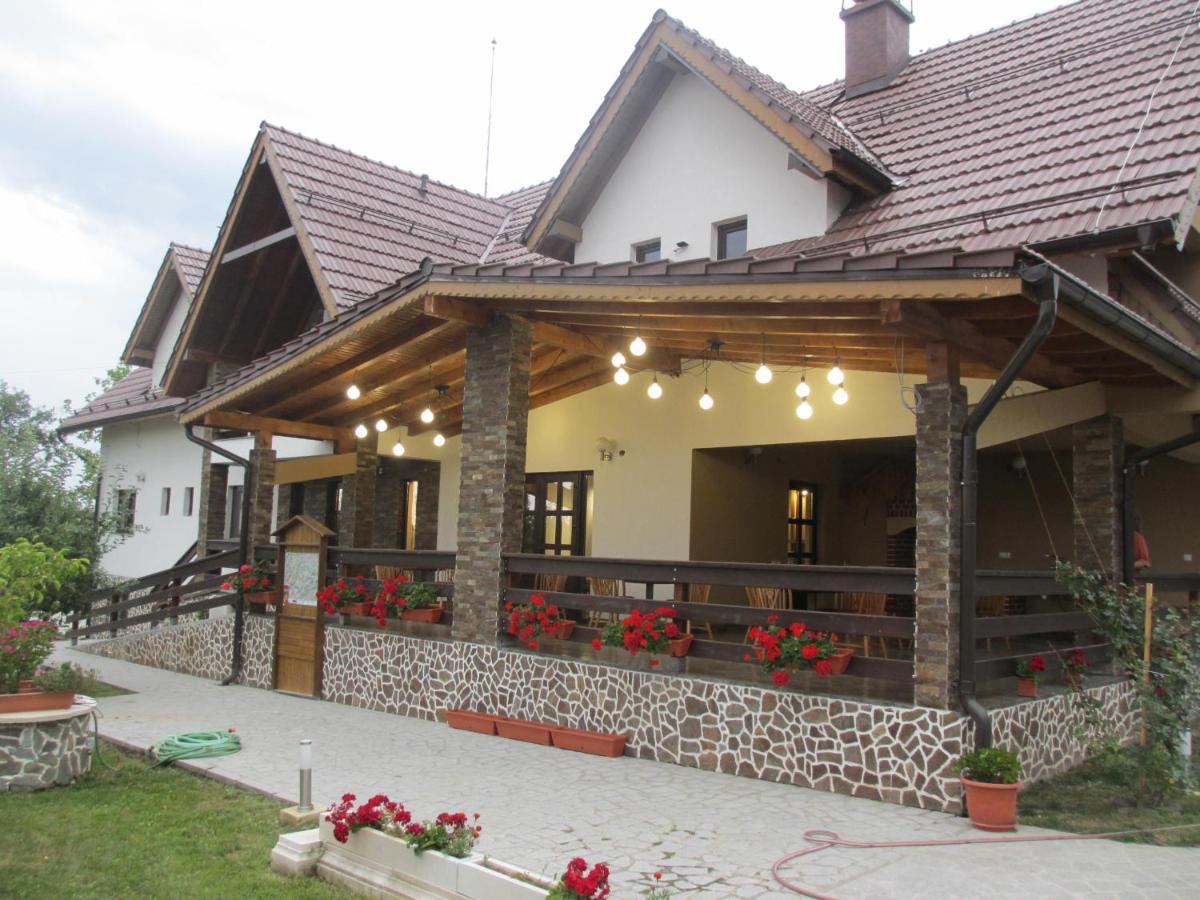 Nut House Retezat Ξενοδοχείο Nucsoara  Εξωτερικό φωτογραφία