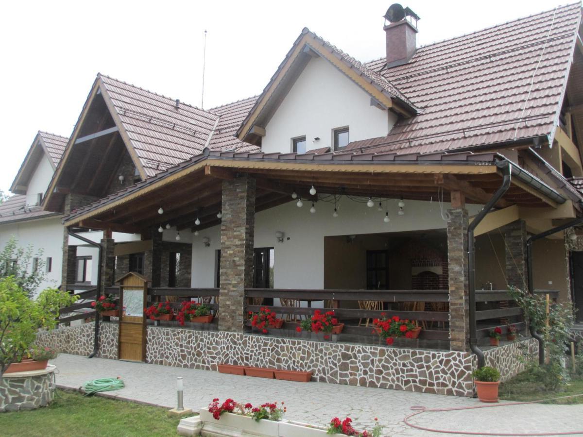 Nut House Retezat Ξενοδοχείο Nucsoara  Εξωτερικό φωτογραφία