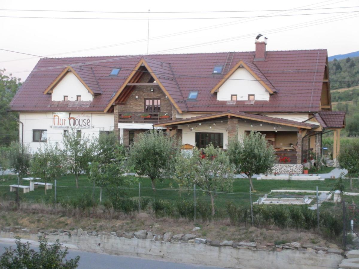 Nut House Retezat Ξενοδοχείο Nucsoara  Εξωτερικό φωτογραφία
